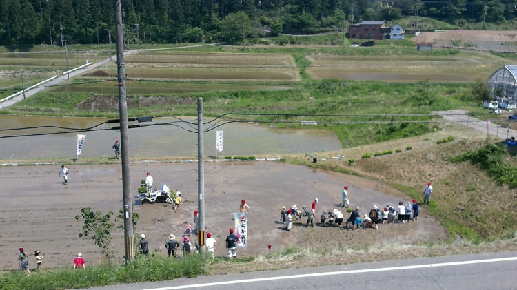 つちかおり２０１７５